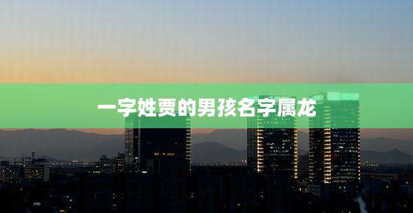 一字姓贾的男孩名字属龙