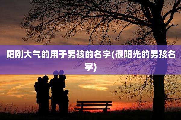 阳刚大气的用于男孩的名字(很阳光的男孩名字)
