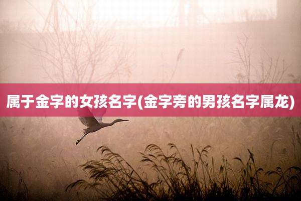 属于金字的女孩名字(金字旁的男孩名字属龙)