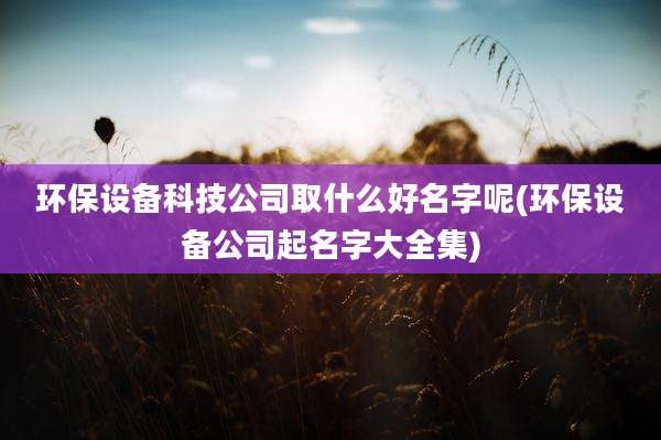 环保设备科技公司取什么好名字呢(环保设备公司起名字大全集)