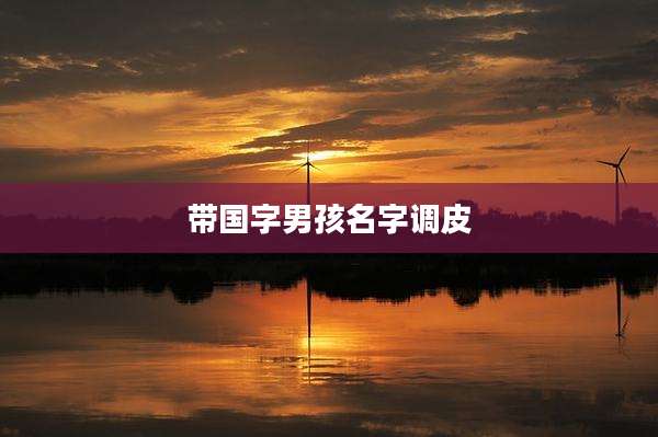 带国字男孩名字调皮