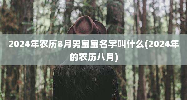 2024年农历8月男宝宝名字叫什么(2024年的农历八月)