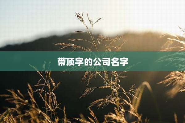 带顶字的公司名字