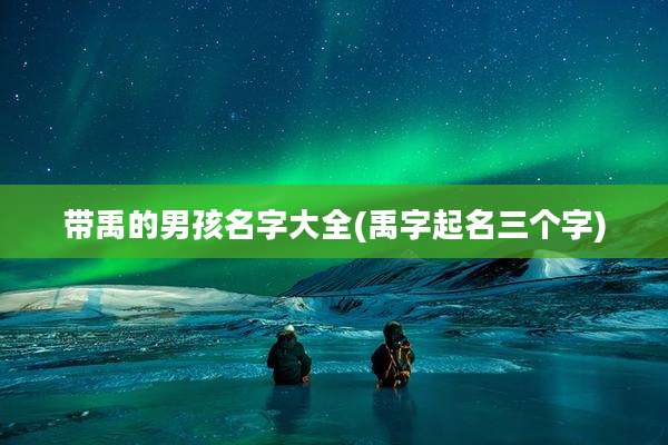 带禹的男孩名字大全(禹字起名三个字)