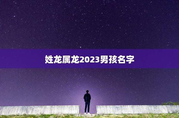 姓龙属龙2023男孩名字