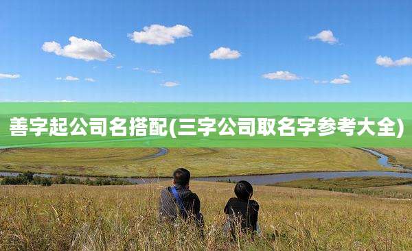 善字起公司名搭配(三字公司取名字参考大全)
