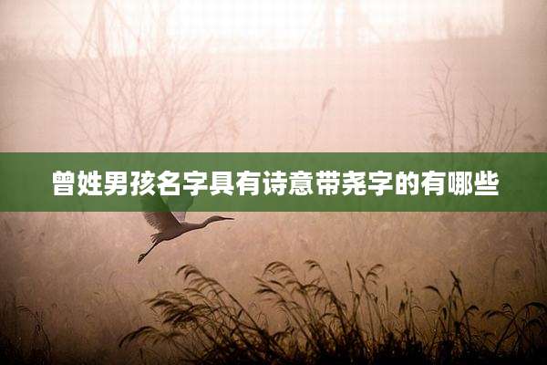 曾姓男孩名字具有诗意带尧字的有哪些