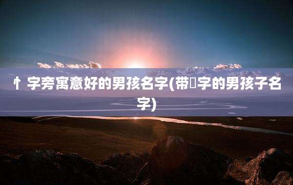 忄字旁寓意好的男孩名字(带珝字的男孩子名字)