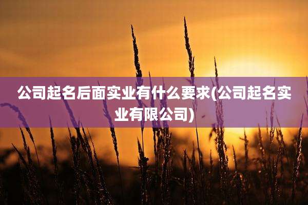 公司起名后面实业有什么要求(公司起名实业有限公司)