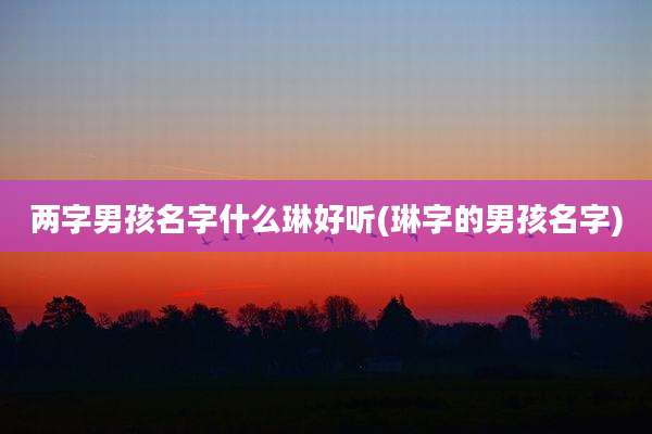 两字男孩名字什么琳好听(琳字的男孩名字)