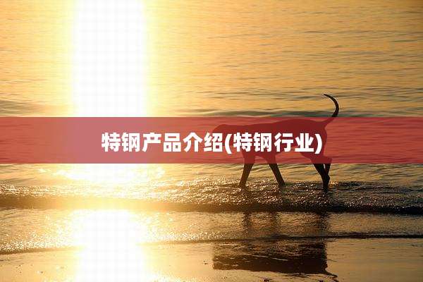 特钢产品介绍(特钢行业)