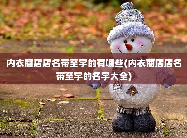内衣商店店名带至字的有哪些(内衣商店店名带至字的名字大全)