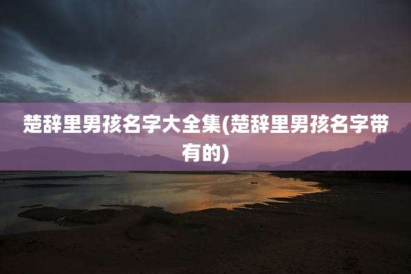 楚辞里男孩名字大全集(楚辞里男孩名字带有的)