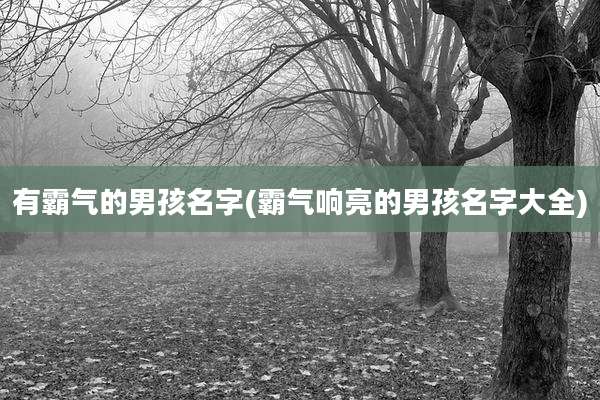有霸气的男孩名字(霸气响亮的男孩名字大全)