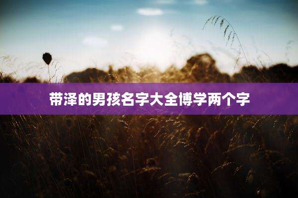 带泽的男孩名字大全博学两个字
