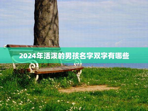 2024年活泼的男孩名字双字有哪些