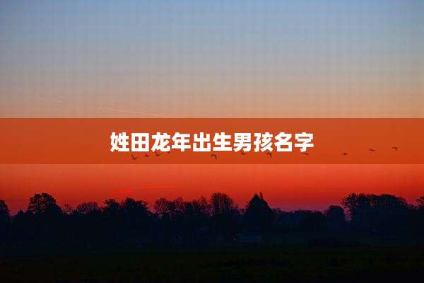 姓田龙年出生男孩名字