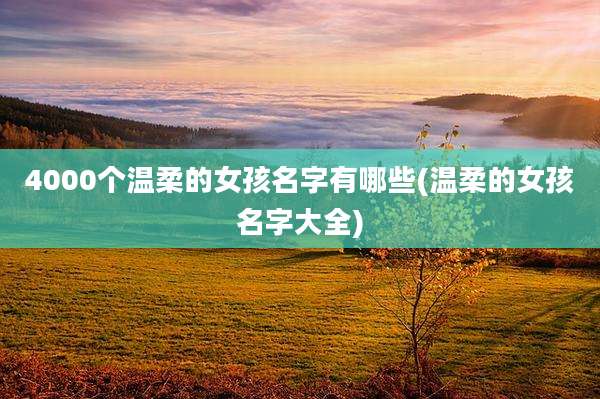 4000个温柔的女孩名字有哪些(温柔的女孩名字大全)