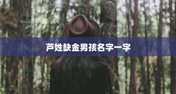 芦姓缺金男孩名字一字