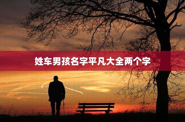 姓车男孩名字平凡大全两个字