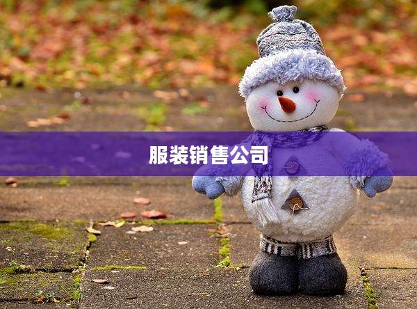 服装销售公司