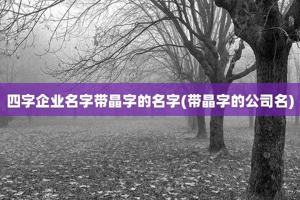 四字企业名字带晶字的名字(带晶字的公司名)