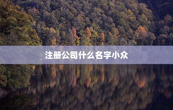 注册公司什么名字小众