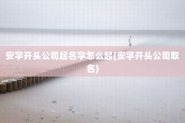 安字开头公司起名字怎么起(安字开头公司取名)