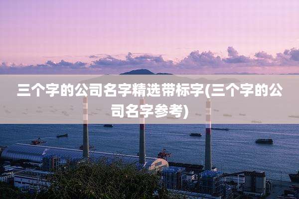 三个字的公司名字精选带标字(三个字的公司名字参考)