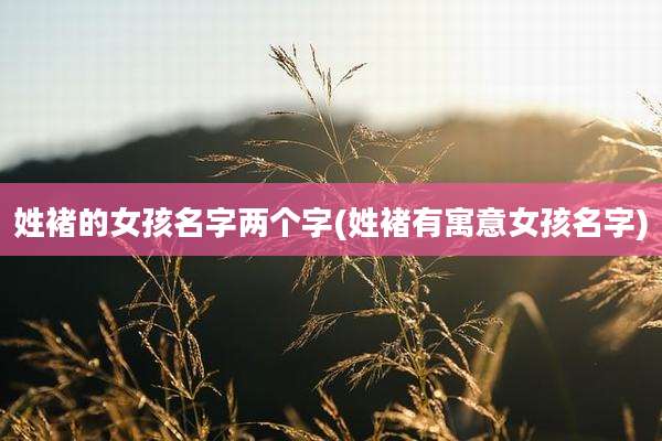 姓褚的女孩名字两个字(姓褚有寓意女孩名字)