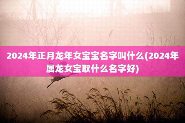 2024年正月龙年女宝宝名字叫什么(2024年属龙女宝取什么名字好)