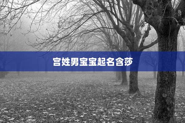 宫姓男宝宝起名含莎