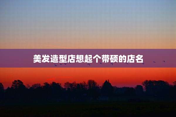 美发造型店想起个带硕的店名
