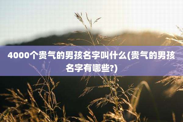 4000个贵气的男孩名字叫什么(贵气的男孩名字有哪些?)