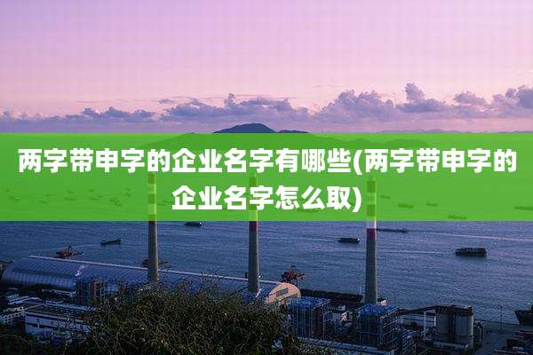 两字带申字的企业名字有哪些(两字带申字的企业名字怎么取)