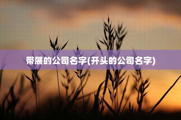 带展的公司名字(开头的公司名字)