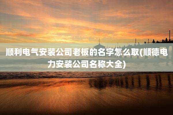 顺利电气安装公司老板的名字怎么取(顺德电力安装公司名称大全)