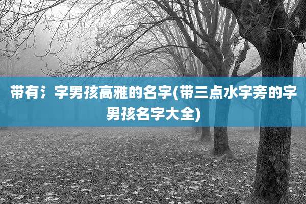 带有氵字男孩高雅的名字(带三点水字旁的字男孩名字大全)