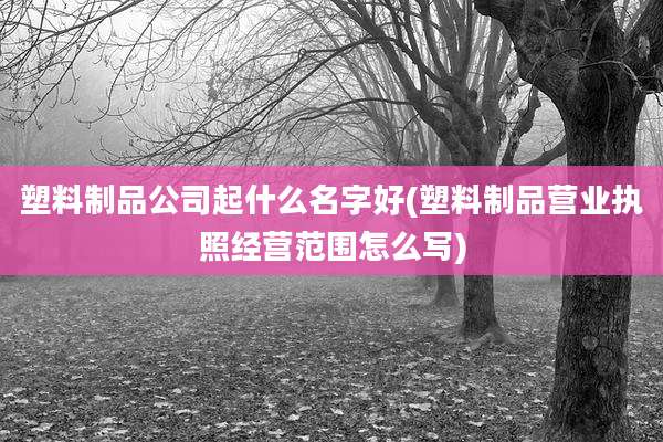 塑料制品公司起什么名字好(塑料制品营业执照经营范围怎么写)