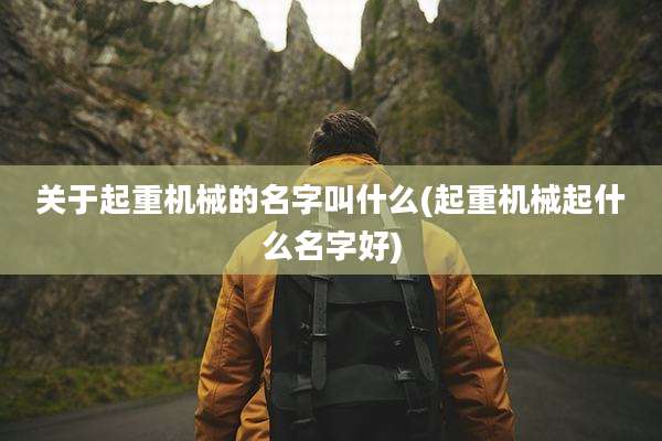 关于起重机械的名字叫什么(起重机械起什么名字好)