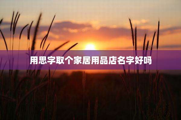 用思字取个家居用品店名字好吗