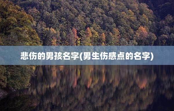 悲伤的男孩名字(男生伤感点的名字)