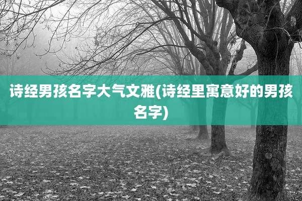 诗经男孩名字大气文雅(诗经里寓意好的男孩名字)