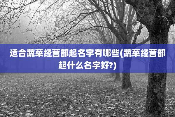 适合蔬菜经营部起名字有哪些(蔬菜经营部起什么名字好?)
