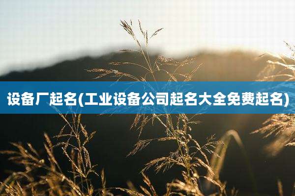 设备厂起名(工业设备公司起名大全免费起名)