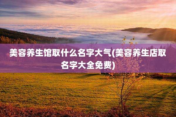 美容养生馆取什么名字大气(美容养生店取名字大全免费)
