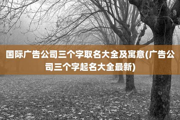 国际广告公司三个字取名大全及寓意(广告公司三个字起名大全最新)