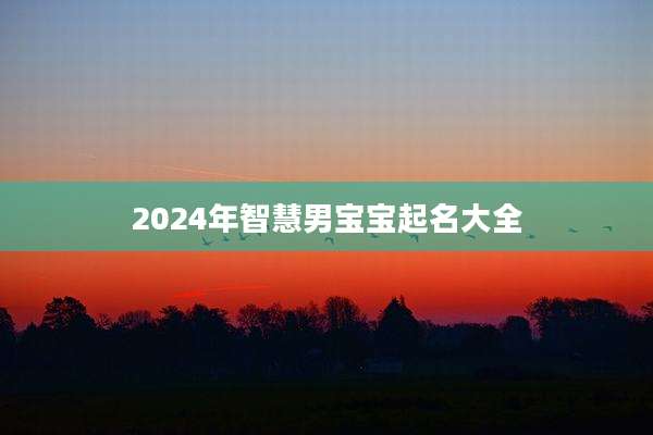 2024年智慧男宝宝起名大全