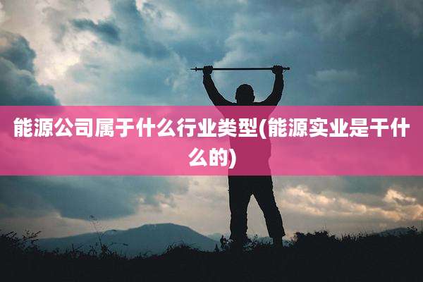 能源公司属于什么行业类型(能源实业是干什么的)