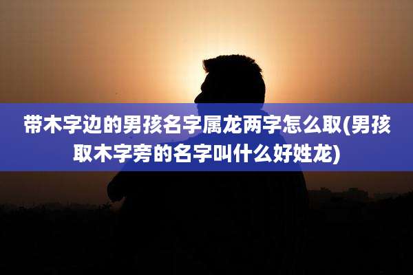 带木字边的男孩名字属龙两字怎么取(男孩取木字旁的名字叫什么好姓龙)